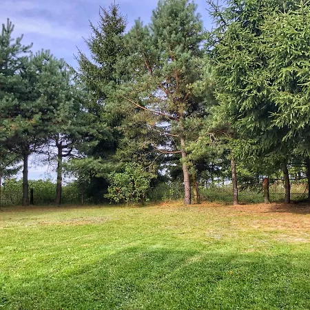 Leniuchowo.lazytown *